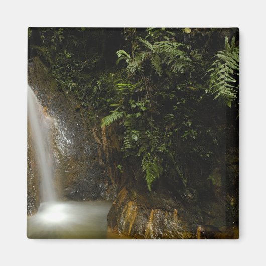 Südamerika, Ecuador, östlicher Abhang der Magnet (Vorne)