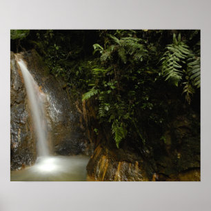 Südamerika, Ecuador, östlicher Abhang der Poster