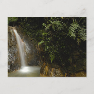 Südamerika, Ecuador, östlicher Abhang der Postkarte