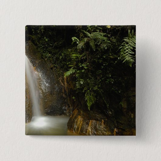 Südamerika, Ecuador, östlicher Abhang des Button (Vorderseite)