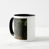 Südamerika, Ecuador, östlicher Abhang des Tasse (Vorderseite Links)
