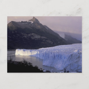 Südamerika, Patagonien, Argentinien Park Postkarte