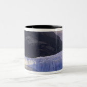 Südamerika, Patagonien, Argentinien, Parque Zweifarbige Tasse (Mittel)