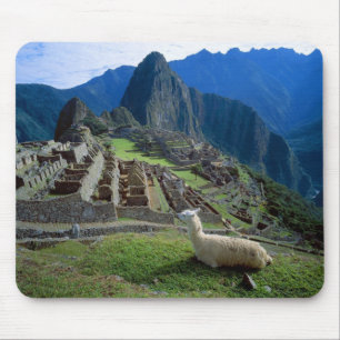 Südamerika, Peru. Ein Lama ruht auf einem Hügel Mousepad