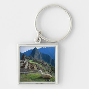 Südamerika, Peru. Ein Lama ruht auf einem Hügel Schlüsselanhänger