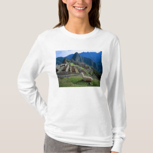 Südamerika, Peru. Ein Lama ruht auf einem Hügel T-Shirt