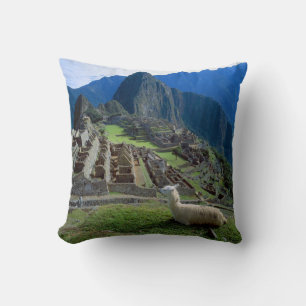 Südamerika, Peru. Ein Lama ruht sich auf einem Hüg Kissen
