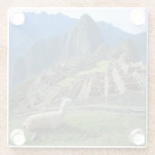 Südamerika, Peru. Eine Lama-Erholung auf einem Hüg Glasuntersetzer (Rückseite)