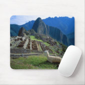 Südamerika, Peru. Eine Lama-Erholung auf einem Hüg Mousepad (Mit Mouse)