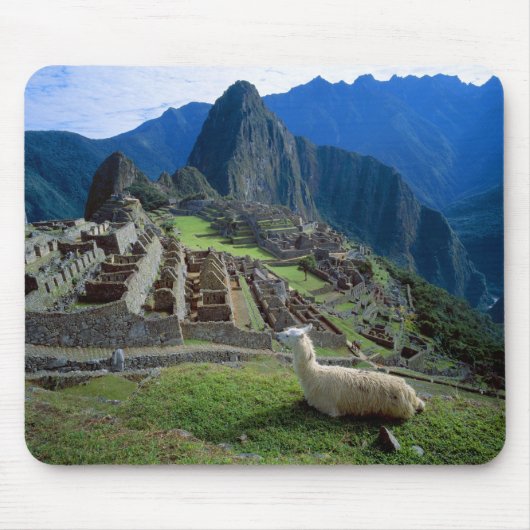 Südamerika, Peru. Eine Lama-Erholung auf einem Hüg Mousepad (Vorne)