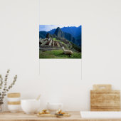 Südamerika, Peru. Eine Lama-Erholung auf einem Hüg Poster (Küche)