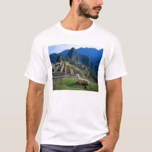 Südamerika, Peru. Eine Lama-Erholung auf einem Hüg T-Shirt