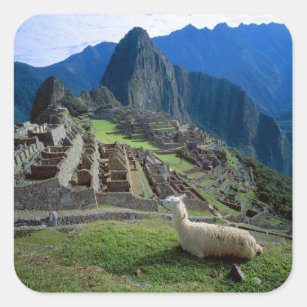 Südamerika, Peru. Erholungen eines Lamas auf einem Quadratischer Aufkleber
