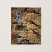 Südamerika, Peru, Manu-Nationalpark, Puzzle (Vertikal)