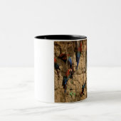 Südamerika, Peru, Manu-Nationalpark, Zweifarbige Tasse (Mittel)