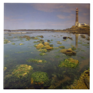 Südamerika, Uruguay, Punta Jose Ignacio, Fliese