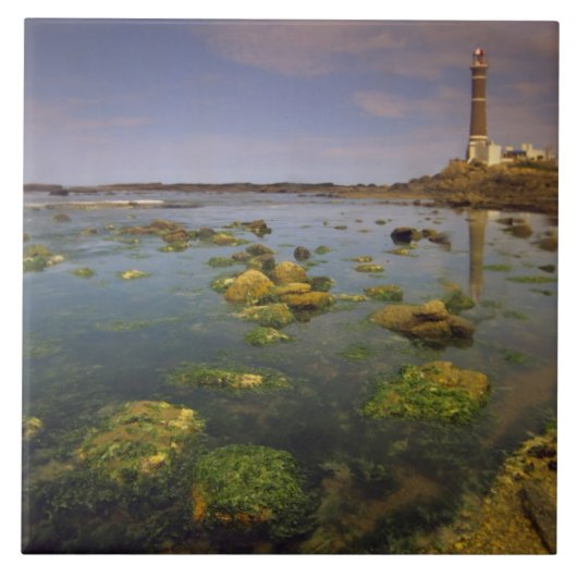 Südamerika, Uruguay, Punta Jose Ignacio, Fliese (Vorderseite)