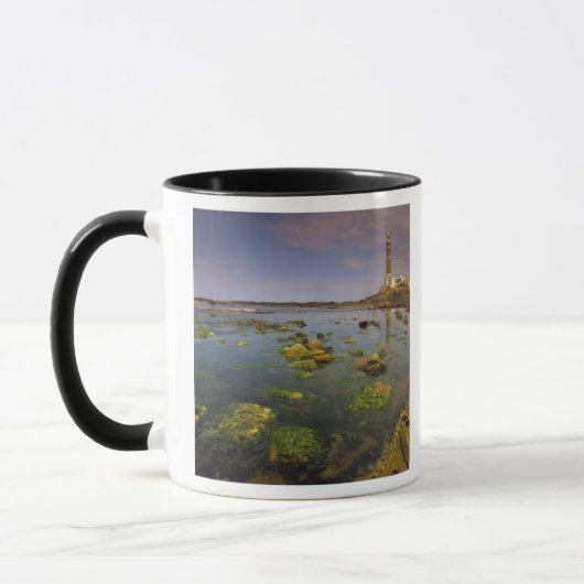 Südamerika, Uruguay, Punta Jose Ignacio, Tasse (Links)