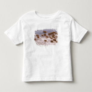 Südamerika, Venezuela, Llano-Region Kleinkind T-shirt