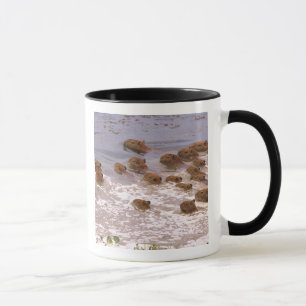 Südamerika, Venezuela, Llano-Region Tasse
