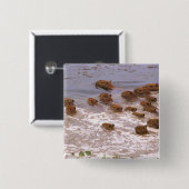 Südamerika, Venezuela, Region Llano. Button (Vorne & Hinten)