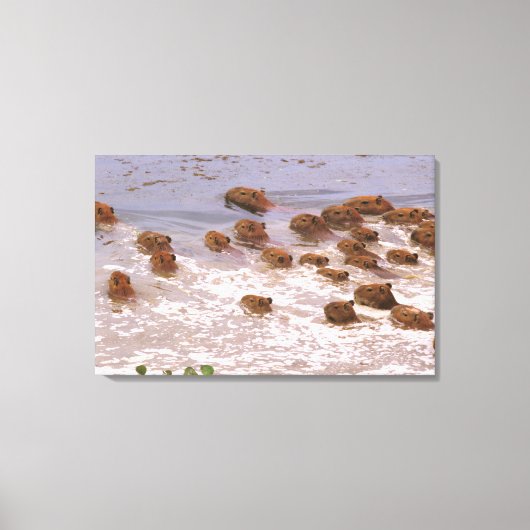 Südamerika, Venezuela, Region Llano. Leinwanddruck (Vorderseite)