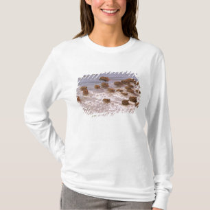 Südamerika, Venezuela, Region Llano. T-Shirt