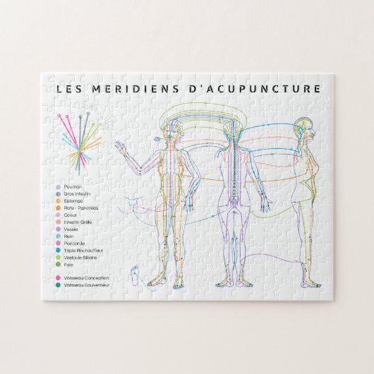 Südamerikanische Akupunkturmedizin Puzzle (Horizontal)