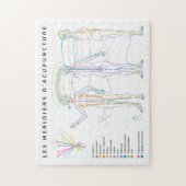 Südamerikanische Akupunkturmedizin Puzzle (Vertikal)