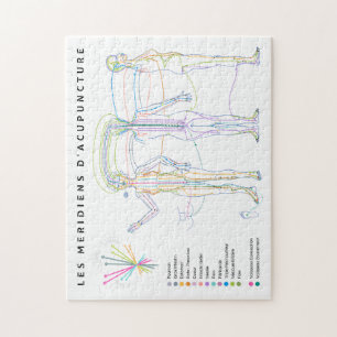 Südamerikanische Akupunkturmedizin Puzzle