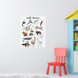 Südamerikanische Tiere   Bildung Klassenzimmer Poster
