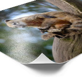 Südamerikanischer Atlantik Fotodruck (Ecke)