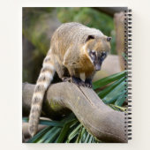 Südamerikanischer Atlantik Notizblock (Rückseite)