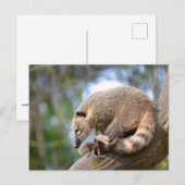 Südamerikanischer Atlantik Postkarte (Vorne/Hinten)