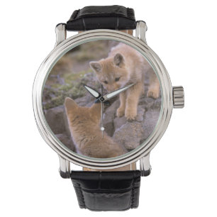 Südamerikanischer Graufuchs (Lycalopex griseus) Pa Armbanduhr