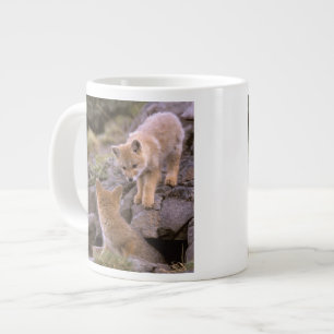 Südamerikanischer Graufuchs (Lycalopex griseus) Pa Jumbo-Tasse