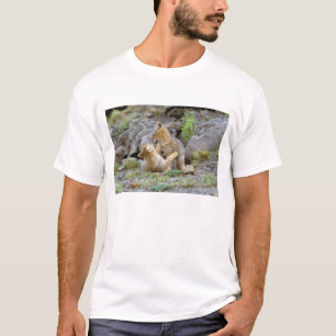Südamerikanischer Graufuchs (Lycalopex griseus) Pa T-Shirt