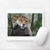 Südamerikanischer Jaguar Mousepad (Mit Mouse)