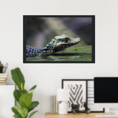 Südamerikanischer Kaiman Poster (Heimbüro)