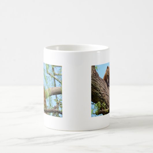 Südamerikanischer Kati Kaffeetasse (Mittel)