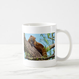 Südamerikanischer Kati Kaffeetasse