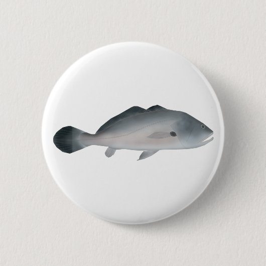 Südamerikanischer Silberdrummler Button (Vorderseite)