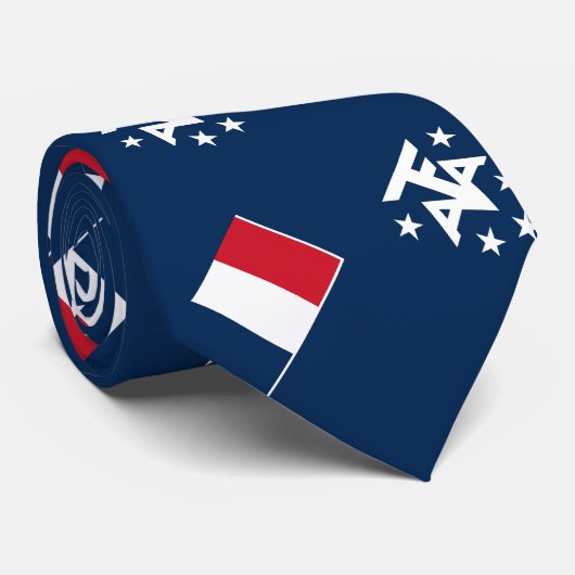 Südantarktische Landschaften in Frankreich Krawatte (Gerollt)