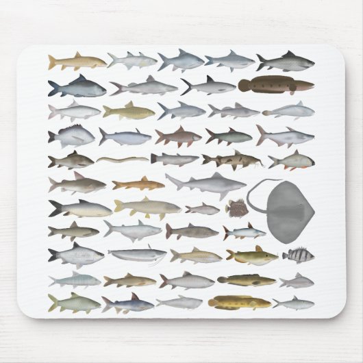 Südasien-Süßwasserfischgruppe Mousepad (Vorne)