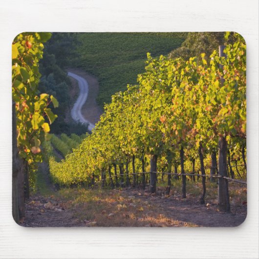 Südaustralien, Adelaide Hills, Summertown2 Mousepad (Vorne)