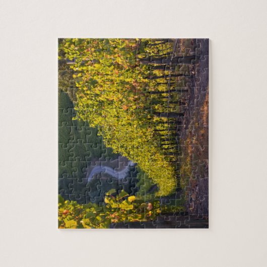 Südaustralien, Adelaide Hills, Summertown2 Puzzle (Vertikal)