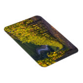 Südaustralien, Adelaide Hills, Summertown. 2 Magnet (Rechte Seite)