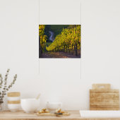 Südaustralien, Adelaide Hills, Summertown. 2 Poster (Küche)