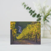 Südaustralien, Adelaide Hills, Summertown. 2 Postkarte (Stehend Vorderseite)