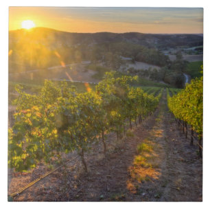 Südaustralien, Adelaide Hills, Summertown. Fliese